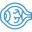 Eye Icon